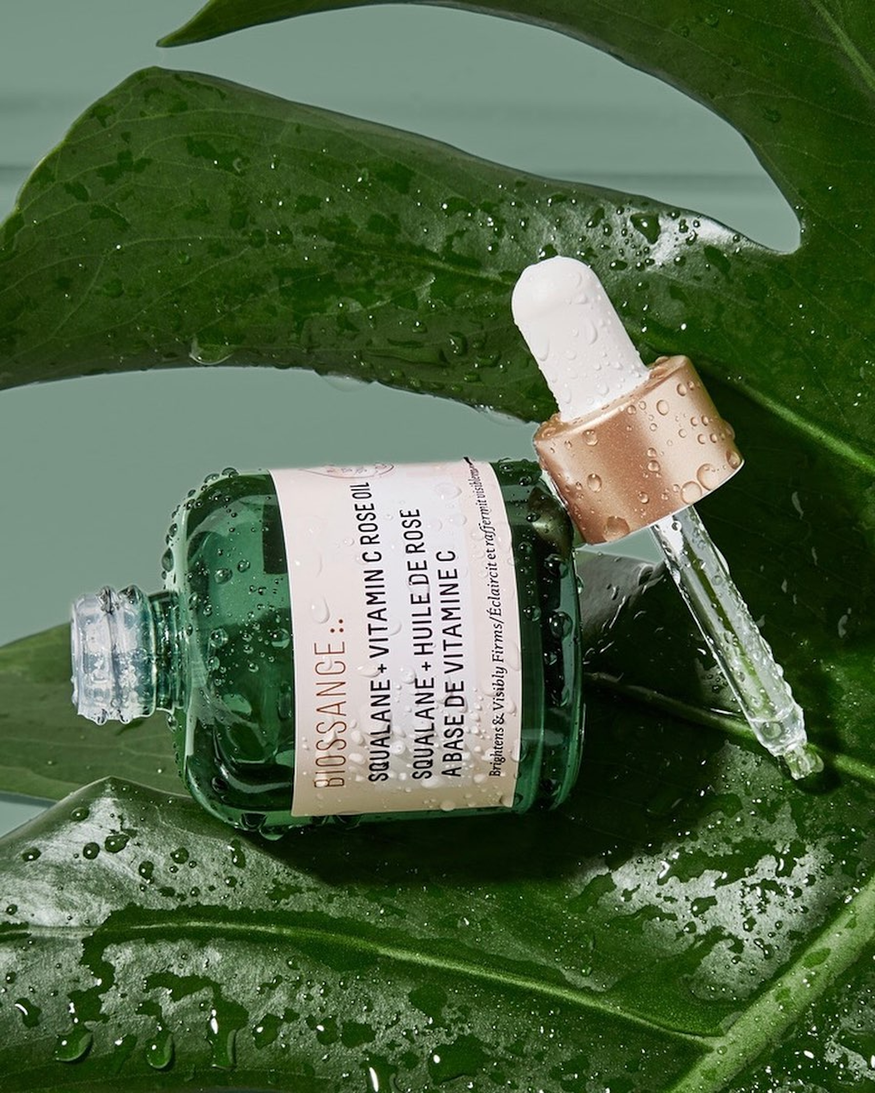 Anna Niedermeyer Image2