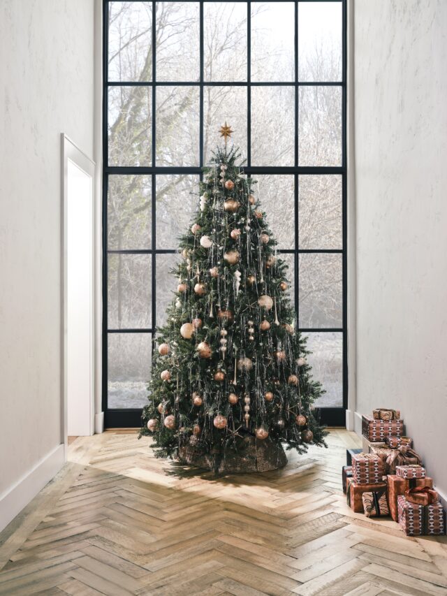 2023 JM Oct CAT JM001514