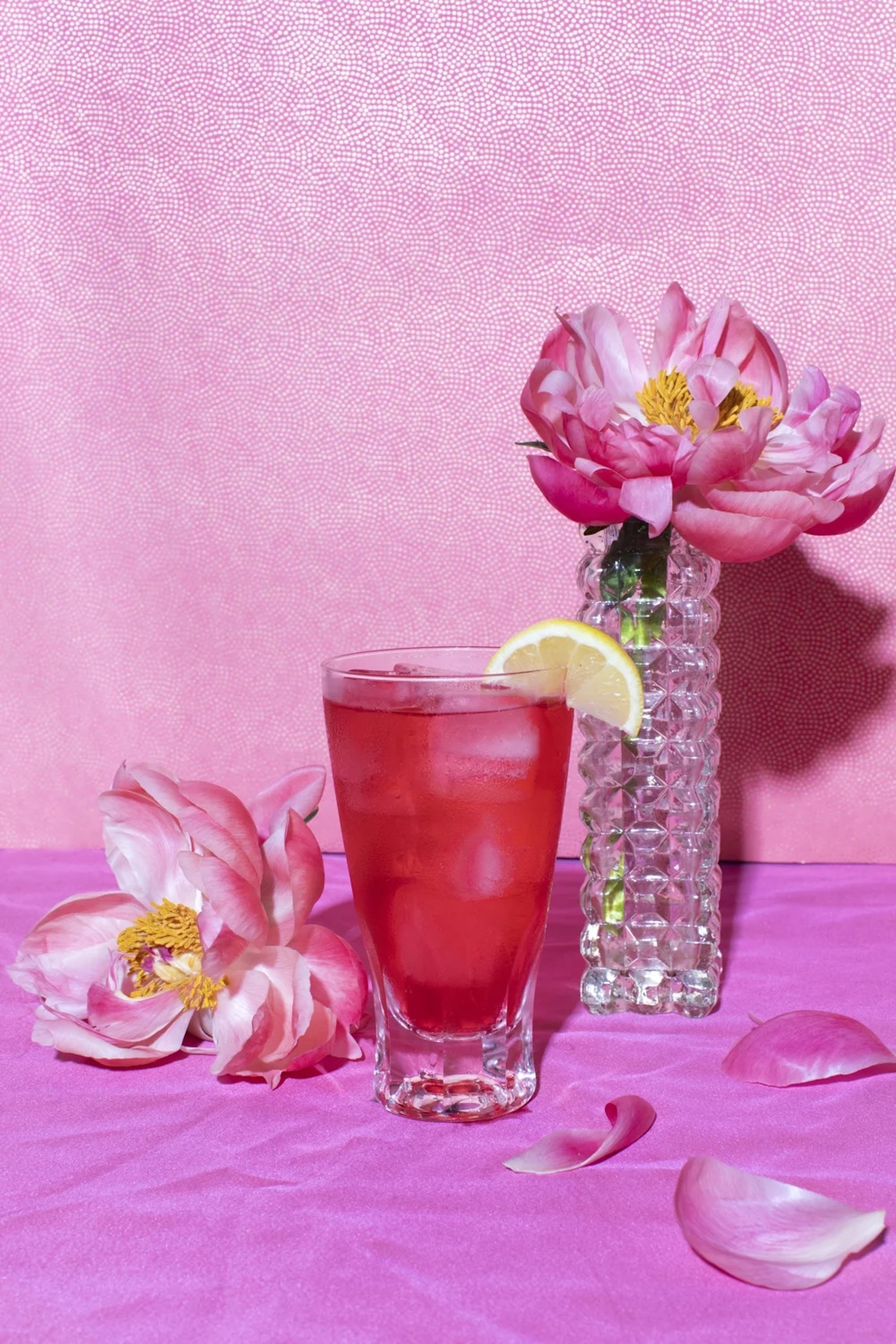 Portfolio Image by Anna Niedermeyer