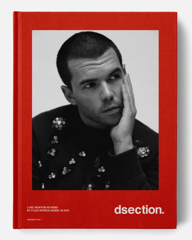 Dsectionmagazine 1753372785 3683880384214484588 321777012