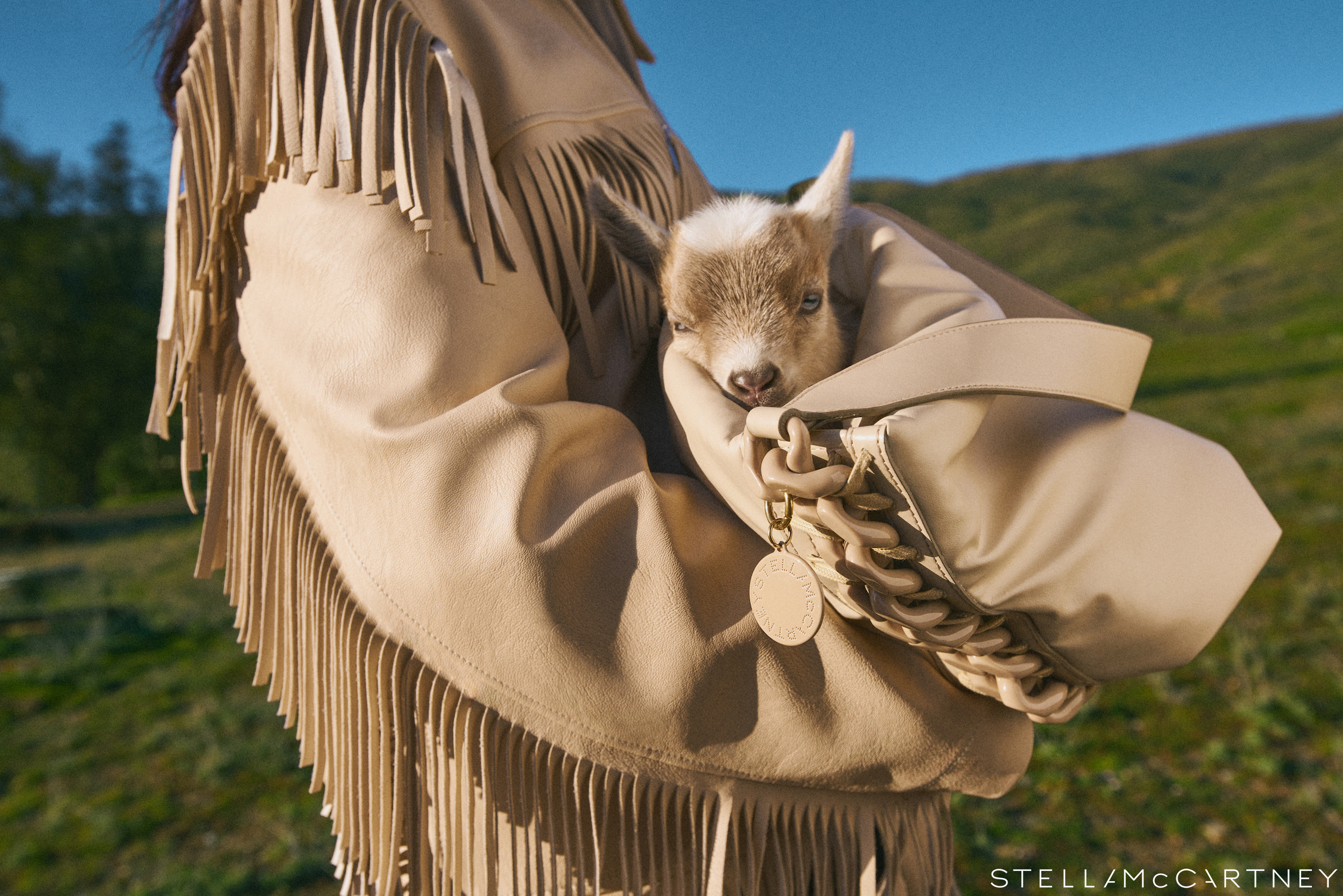 Advertising Image by Chaunte Vaughn