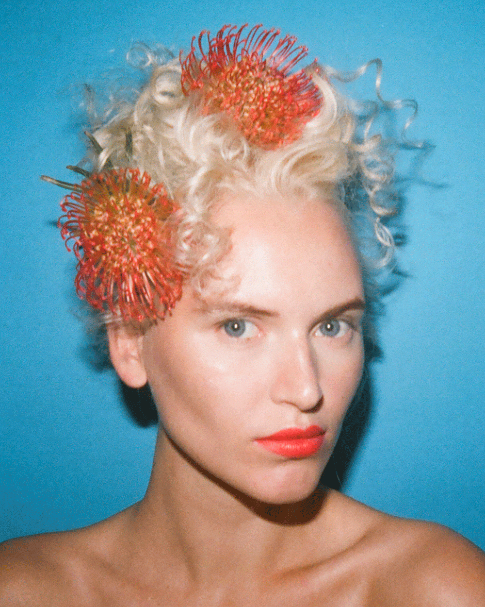 Gif Image by Eric. T. White