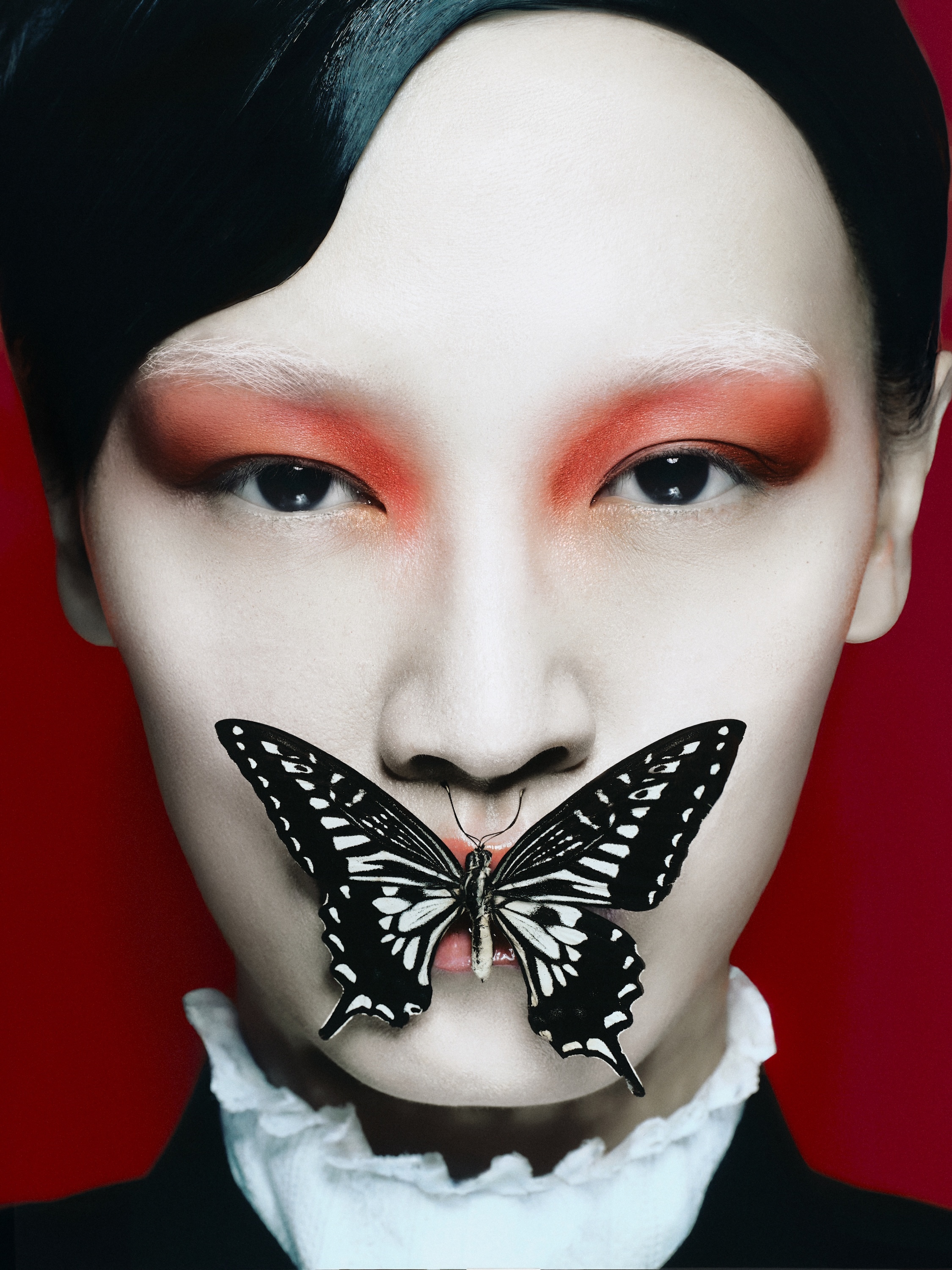 Editorial Image by Lizzy Rosenberg