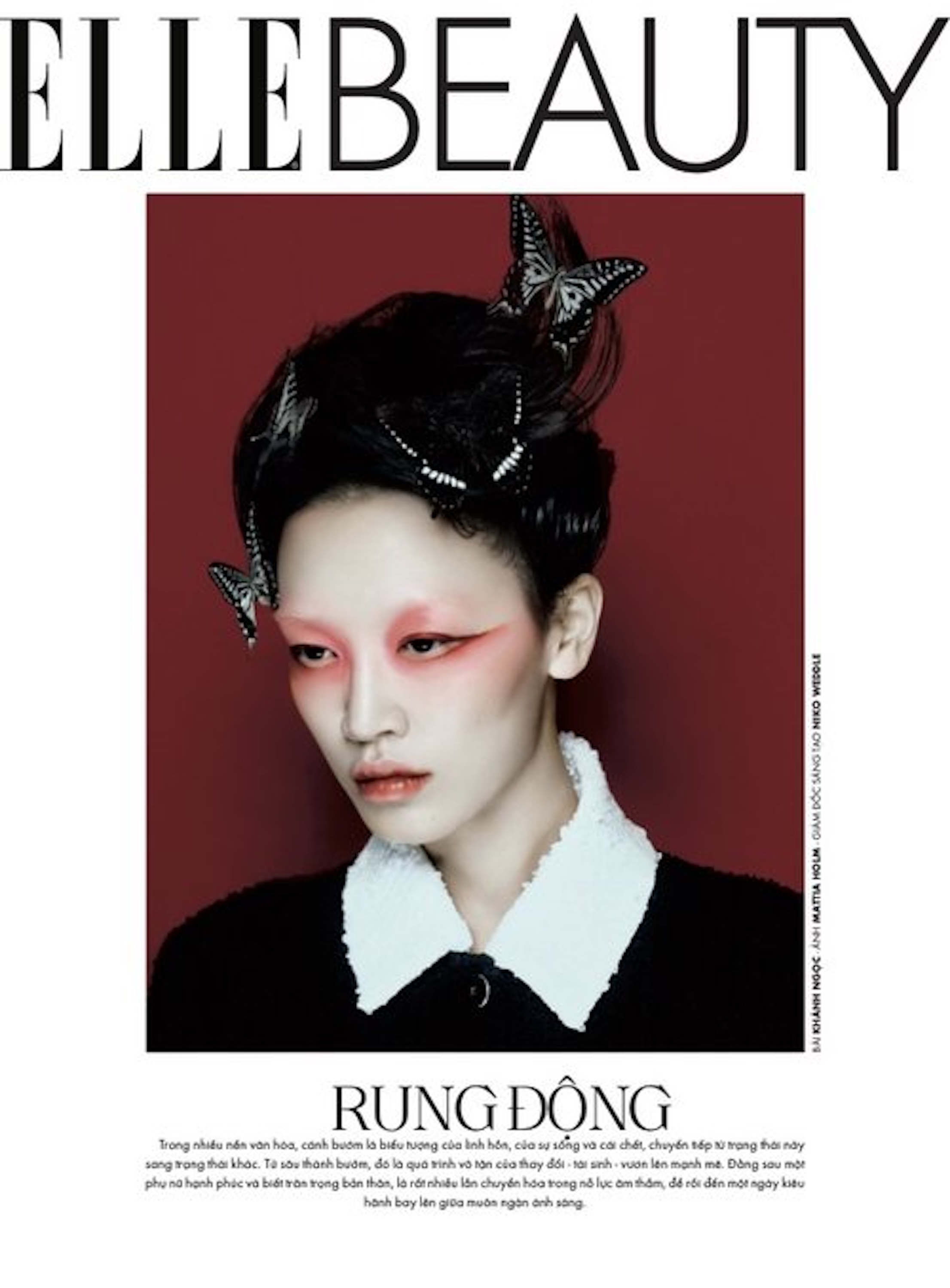 Editorial Image by Lizzy Rosenberg