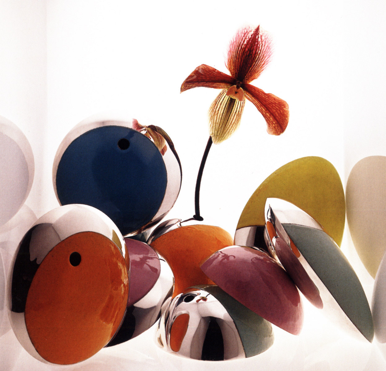 Still Life Image by Mark Chandler