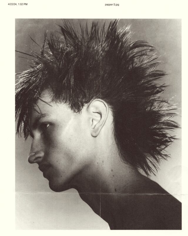 Own Project HPSCAN 20240422185120775 2024 04 22 185254472