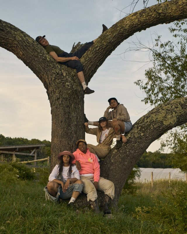 Fw25 on x shfg pad mood still 4x5 no language source rgb 02