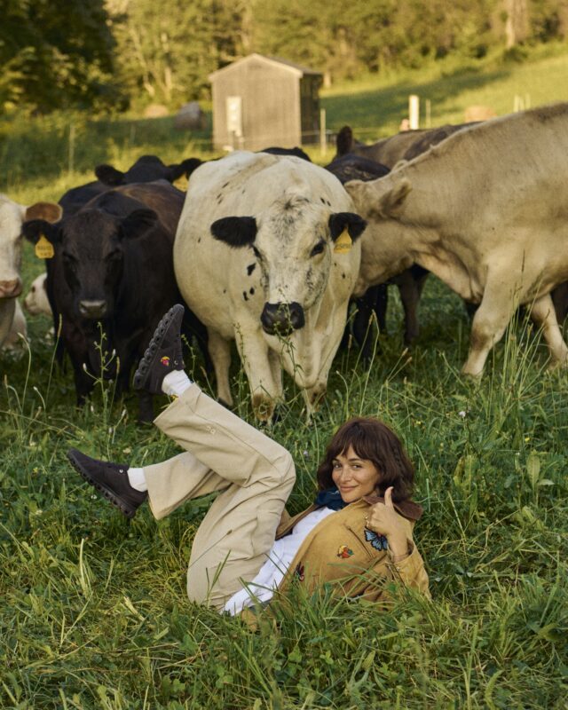 Fw25 on x shfg pad mood still 4x5 no language source rgb 04