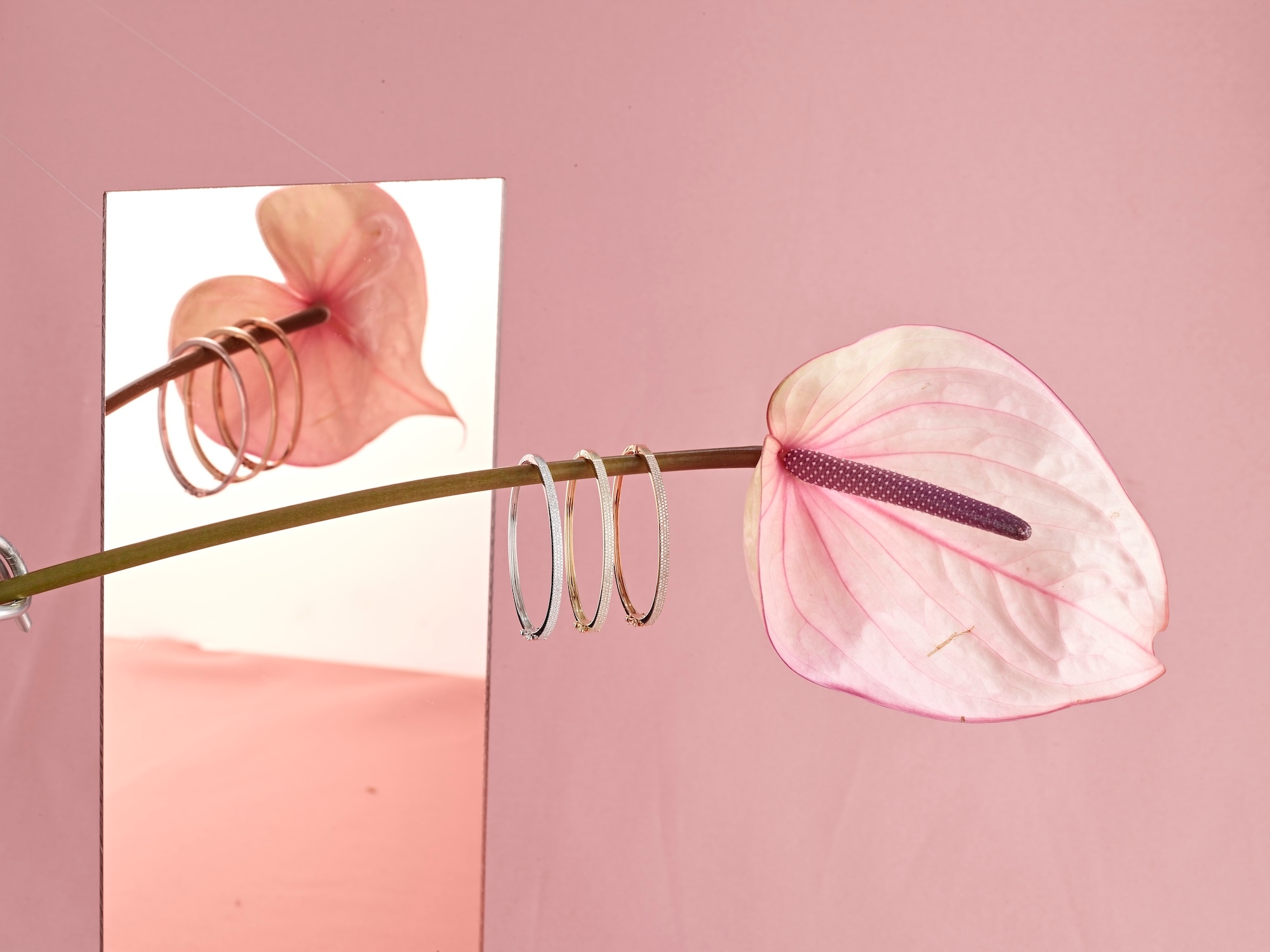 Prop Styling Image by Tom Kivell