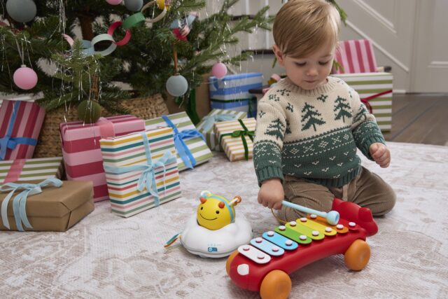 SH WIN25 Fox Xylphone 5039 E