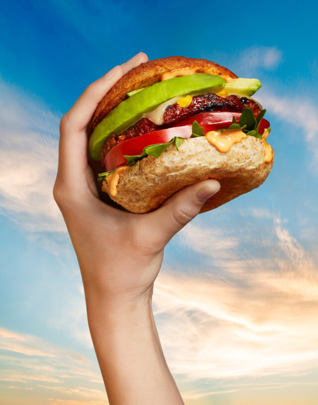 170301 MS Zesty Southwest 315