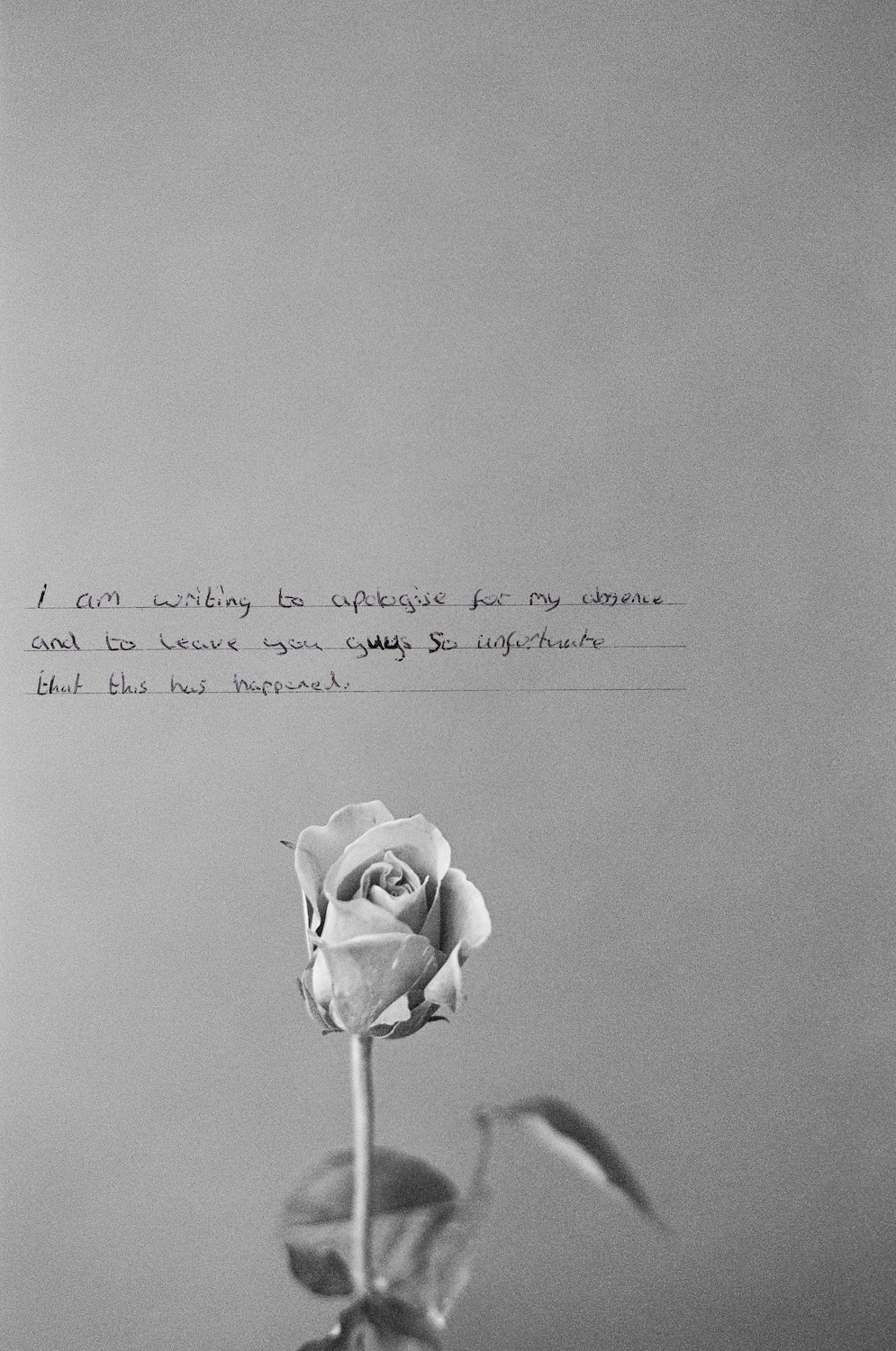 Mikael Johansson Image2