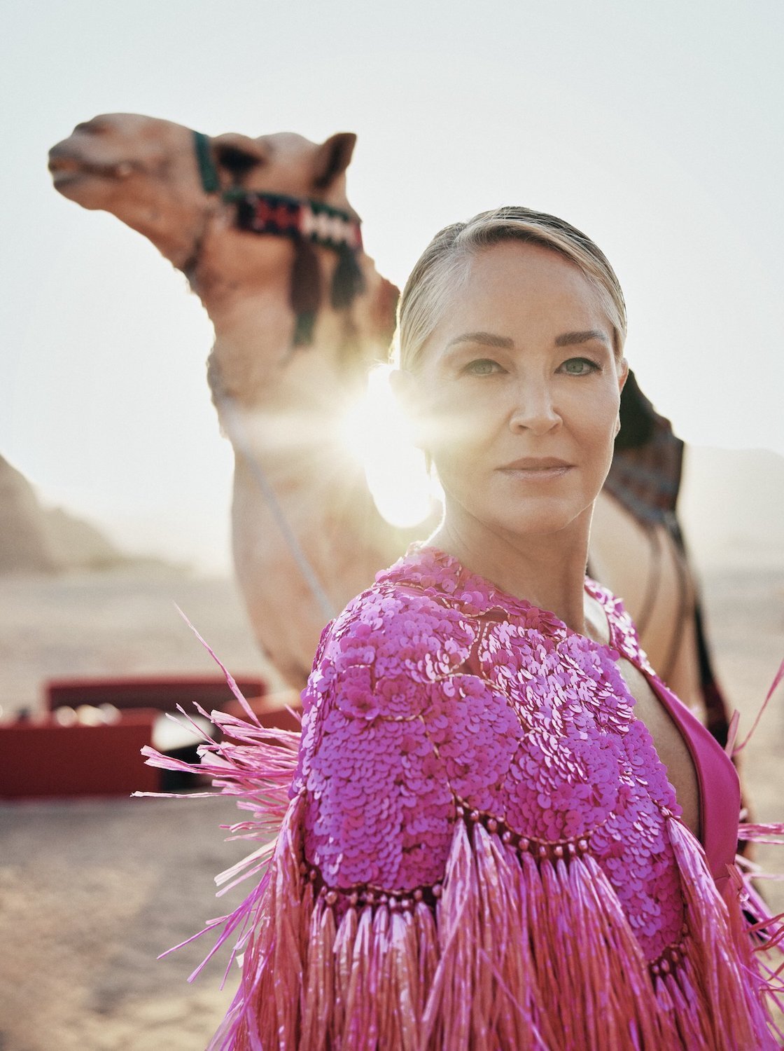 Eric Michael Roy Image2