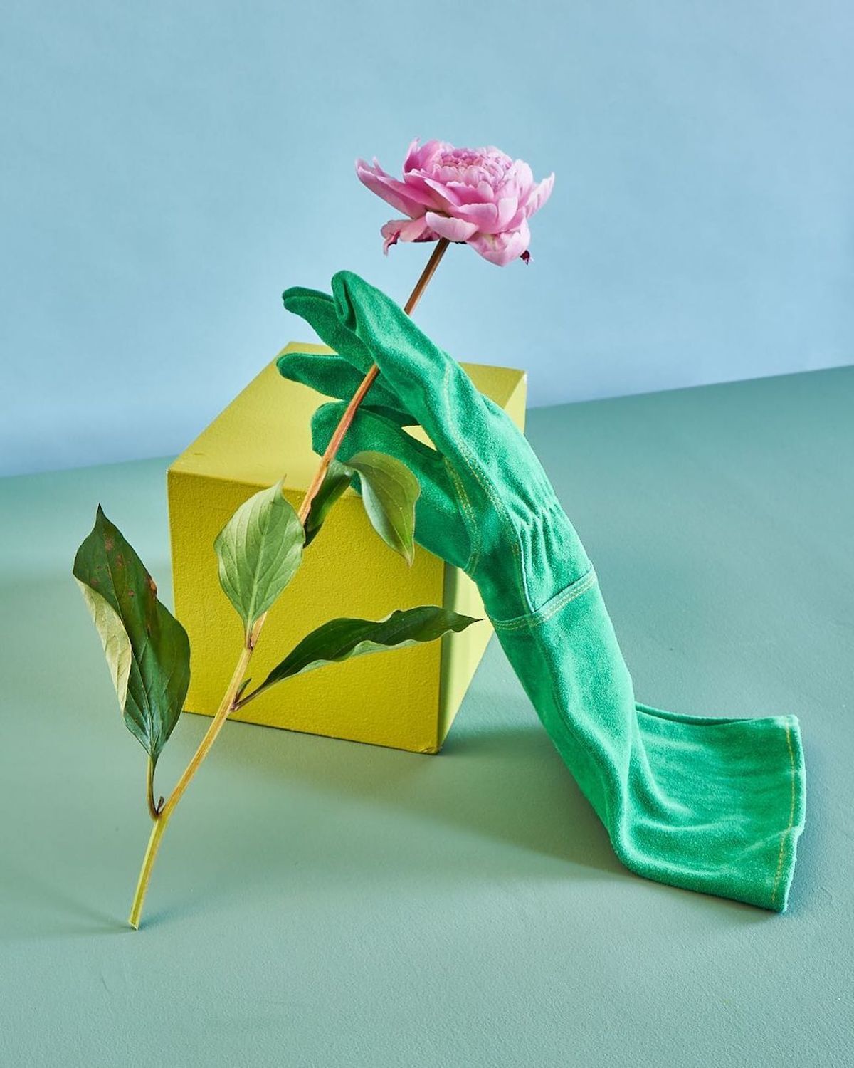 Chaunte Vaughn Image2