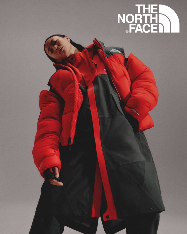 The north face 2